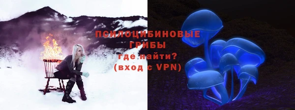 крисы Алексин
