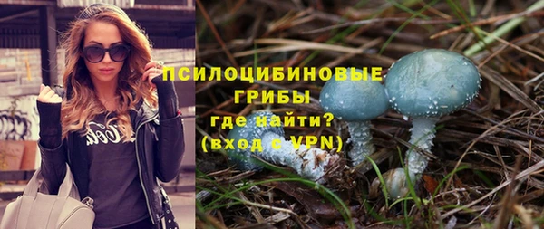 spice Алзамай