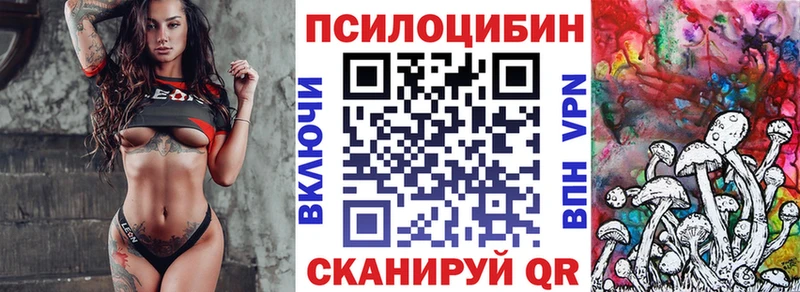 мега tor  наркошоп  Камешково  Галлюциногенные грибы прущие грибы 